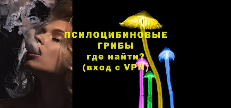 кракен онион  даркнет официальный сайт  Галлюциногенные грибы MAGIC MUSHROOMS  Новопавловск 